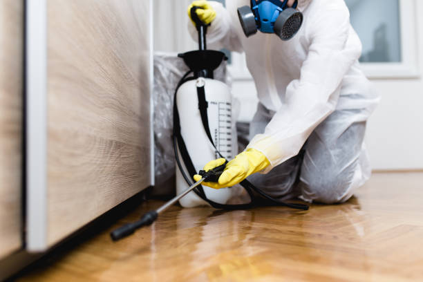 Best Exterminator Services  in Bryant, AR