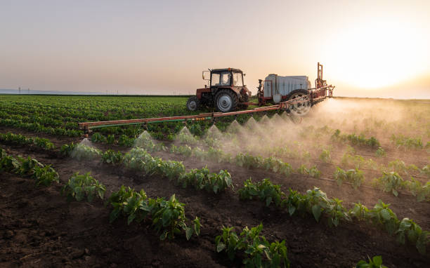 Best Mosquito Control Services  in Bryant, AR