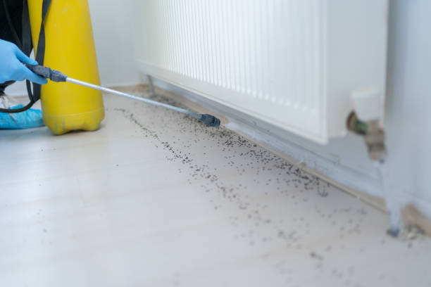 Best Best Pest Control Companies  in Bryant, AR