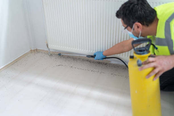 Best Bed Bug Extermination  in Bryant, AR