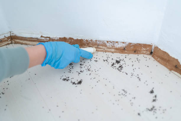 Best Best Pest Control Companies  in Bryant, AR