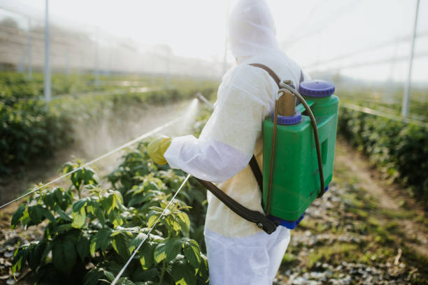 Trusted Bryant, AR Pest Control Experts